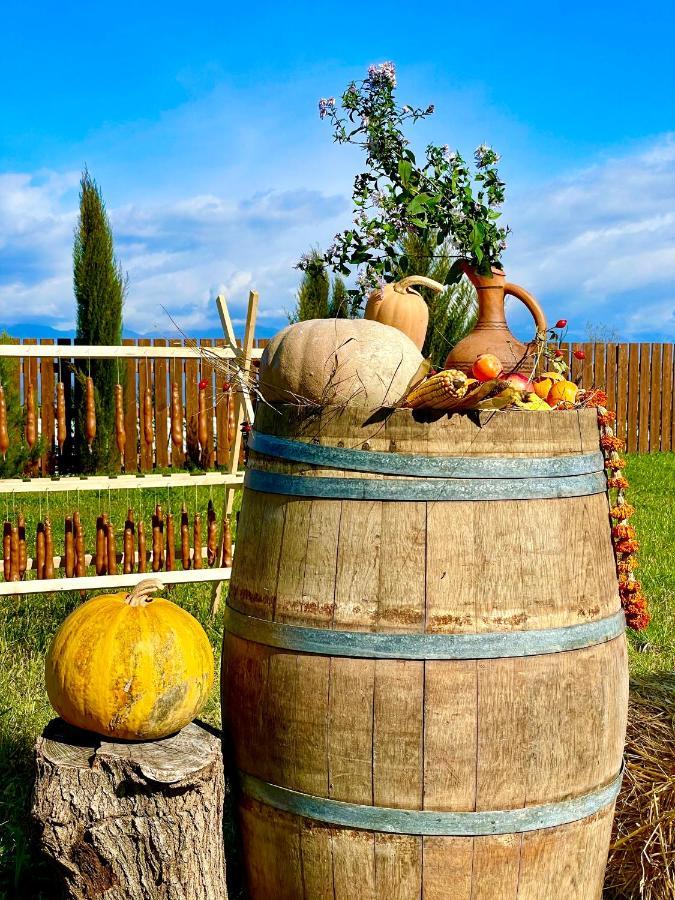 The Wine Hotel Τελάβι Εξωτερικό φωτογραφία
